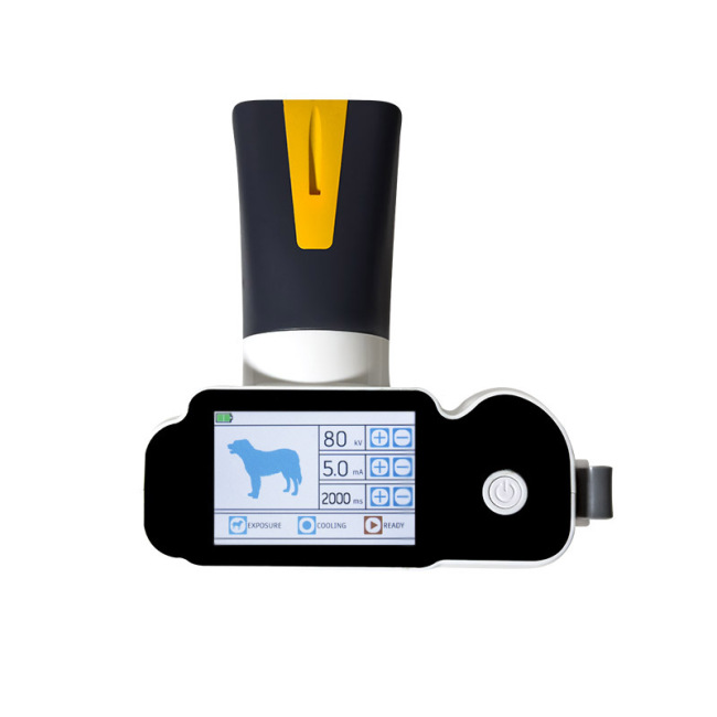 Touch screen pet-specific portable DR X-ray wireless suitable for outdoor scenes