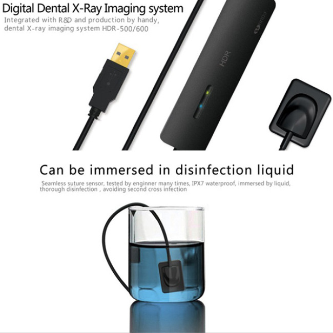 Sistema dental de Digitaces del sensor USB de la radiografía dental de China