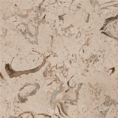 Fossiler beiger Marmor