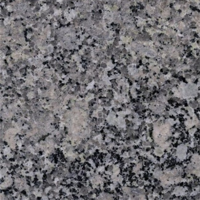 Granit gris royal