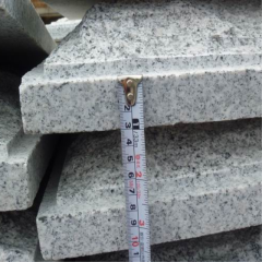 Panneaux de revêtement de mur de surface de champignon de granit G603