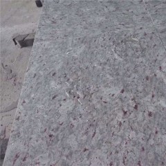 Panneaux de mur de carreaux de sol en granit blanc galaxie