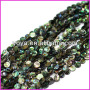 SP4062 Abalone shell coin beads,round coin shaped abalone beads