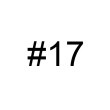 #17