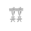 Pisces/silver