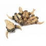JF7304a Gold / Hematite Rhinestone Crystal Pave Bone Cow Skull Bull  Steer Pendants