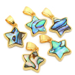 abalone shell