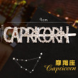 Capricorn-silver