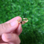 RM1249 Dainty Gold Plated Diamond Star Signet Heart Adjustable Statment Rings for Ladies Women