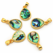abalone shell