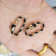 black/gold