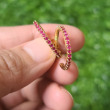 fuchsia/gold small size