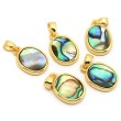 abalone shell