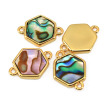 abalone shell