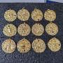 CZ8263 Star Constell Rainbow Gold Plated CZ Micro Pave Horoscope Zodiac Sign Round Coin Disc Pendant for Necklace