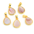 pink shell