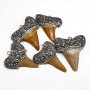 JF6843 Crystal Pave Shark Tooth Pendant,Shark Tooth Charm with Pave Rhinestones, Sea Life Charm