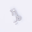 Capricorn/silver