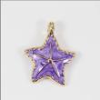 starfish purple
