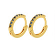 Blue/gold