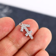 Sagittarious/silver