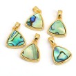 abalone shell