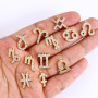 CZ7987 High quality Mini CZ Micro Pave horoscope charm,tiny zodiac astrology charm pendant for birthday gift