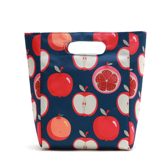 Best Sale Multi-color Insulated Thermal Lunch Bag for Office