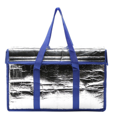 Silver Lunch Box Cooler Tote Bag For Woman