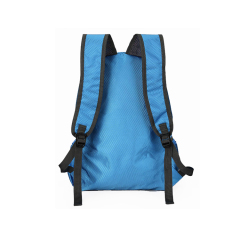 Packable Foldable Gym Luxury Travel Multifunctional Folding Bag Back Polyester
