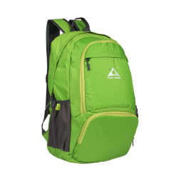 Large Capacity Eco Friendly Foldable Gym Folding Bag Nylon Travel Back