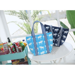 portable reusable tote cooler bag insulated lunch bag for women