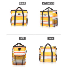 New design shopping cooler travel bag with OEM service