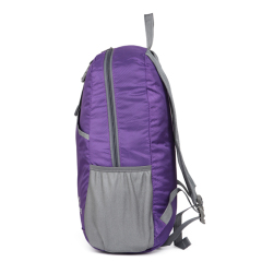 Sport Gym Travel Foldable Expandable Fashion Recycle Folding Bag