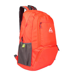 Large Capacity Eco Friendly Foldable Gym Folding Bag Nylon Travel Back