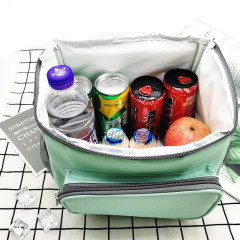 Фабрика прямых продаж портативная термоизоляционная сумка Bento сумка для пикника для барбекю на открытом воздухе вывозная сумка для льда сумка для термоизоляции