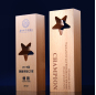 Customized 80*50*240mm Beech Wood Awards, Super Star Awards