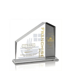 New Style Dissimilarity Achievement Award Optical Glass Trophy Award Plakette Souvenir