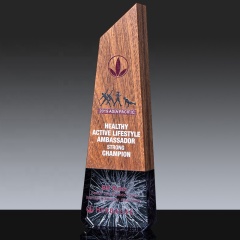 Trofeo de madera de haya de nuevo estilo, escudo de premio, premios de trofeo de cristal