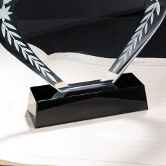 Trophée de bouclier de cristal de plaque de cristal vierge personnalisée FS Noble