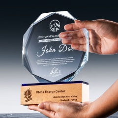 Heiße Verkäufe leeres Glas Octagon Award für Geschenk/Glastrophäe K9 Crystal Awards/Crystal Glass Trophy Wooden Award Plaque Art Craft