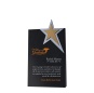 2021 New Black Crystal Award Black Crystal Beveled Five Pointed Star Medal Crystal Sandblasted Trophy
