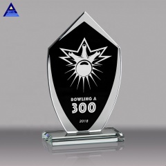 Escudo de premio de muestra de placa de cristal comercial grabado para trofeo de premios conmemorativos