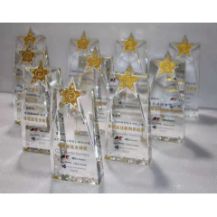 FS высокое качество Crystal Star Trophy Cup поощрение сувенир для чемпиона Прямая доставка