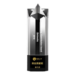Premio Premios láser 3D Grabado de estrellas Bloque deportivo Trofeos de vidrio Cubo Trofeo de cristal en blanco