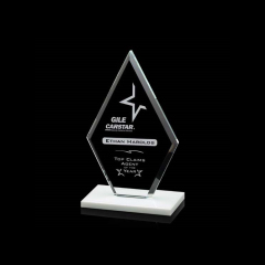 Wholesale China Factory Custom Made New Design Glass Shield Shape Trophy Award Blank For Engraving