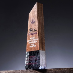 Trofeo de madera de haya de nuevo estilo, escudo de premio, premios de trofeo de cristal