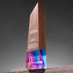 Trophée en bois de hêtre de nouveau style Shield Crystal Trophy Awards