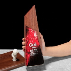 Nouveau trophée de récompense en bois de cristal de conception pour le trophée personnel de cristal d'obélisque de crête de glace