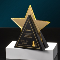 изготовленные на заказ хрустальные награды застекленные трофеи в форме звезды награды корпорации